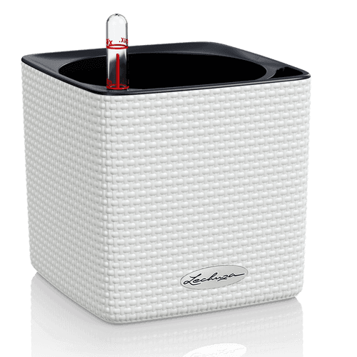 Lechuza CUBE Color 14 - White (13380)