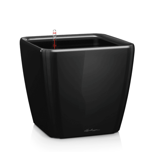 Lechuza QUADRO LS 21 - Black (16129)