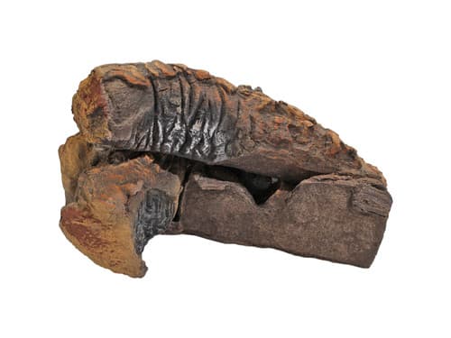 Monessen Right Log #4 (20308921)