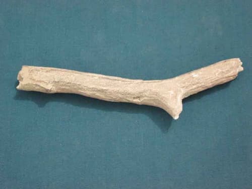 Valor LH Twig (4001827)