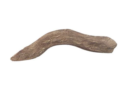 Valor RH Twig (4001828)