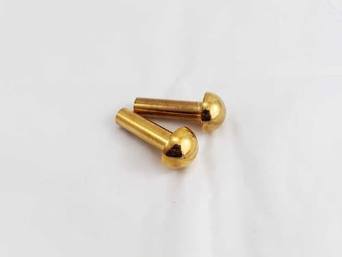 Quadra-Fire & Heat N Glo Gold Door Hinge Pins - Set of 2 (832-0250)