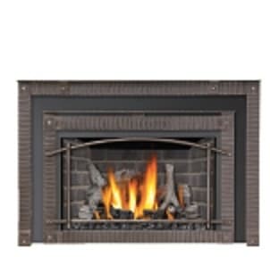 Napoleon BGD90NT Artisan Double Doors (DK90RA)