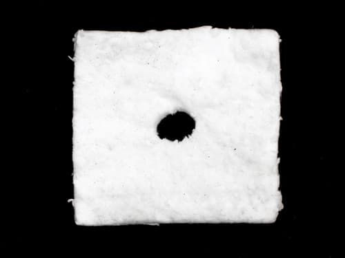 Napoleon Ash Opening Gasket (W290-0087)