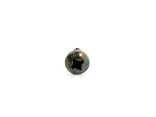 Napoleon & Timberwolf Ash Pan Handle Screws - Set of 2 (W570-0024)