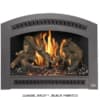 Fireplace Xtrordinair 34 DVL Ember-Glo Gas Insert view 3