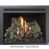 Fireplace Xtrordinair 430 Deluxe Ember-Glo Gas Insert view 3