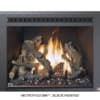 Fireplace Xtrordinair 616 Deluxe Ember-Glo Gas Insert view 3