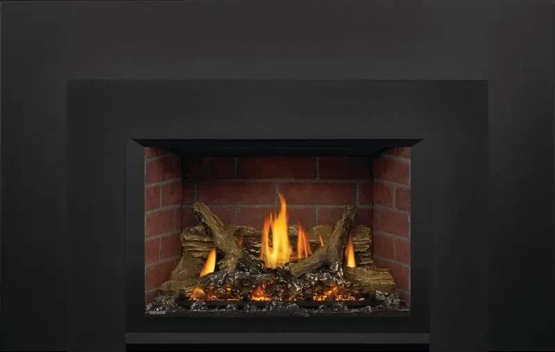 Napoleon 29 Inch Oakville X3 Direct Vent Gas Fireplace Insert (Modern)