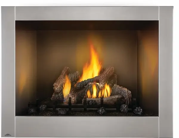 Napoleon Riverside Series 42 Inch Clean Face Outdoor Stainless Steel Gas Fireplace - GSS42CFN